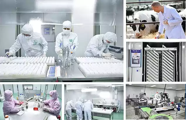 examination and diagnosis