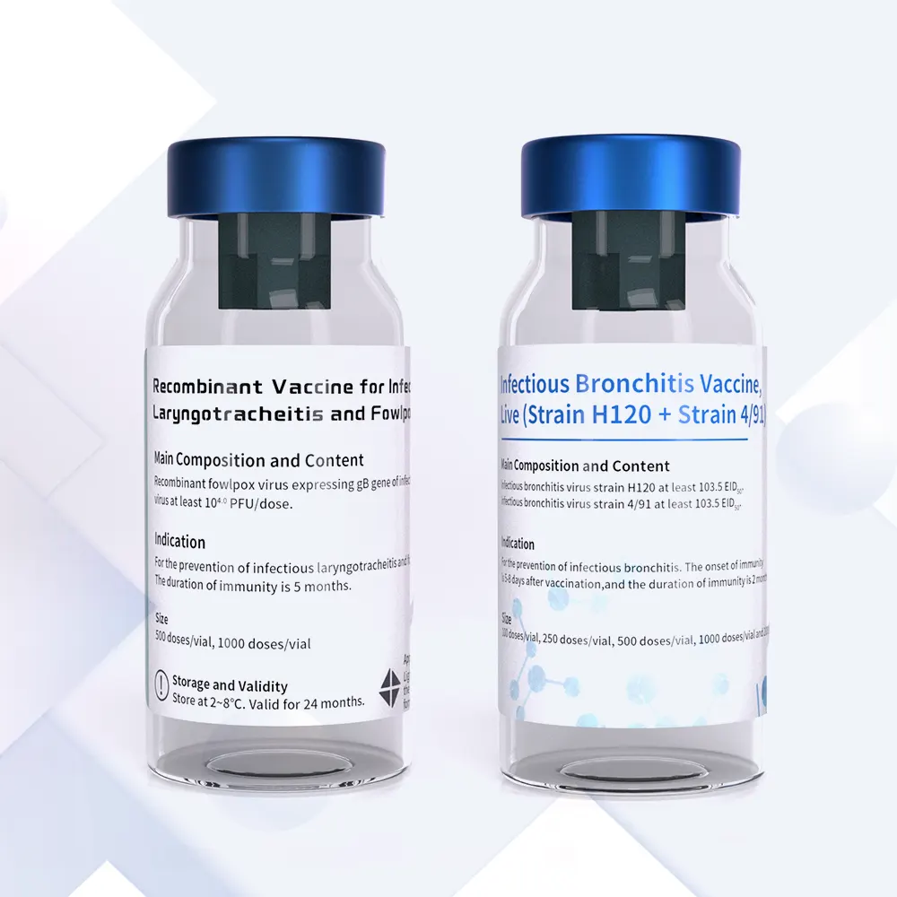 chicken live vaccine