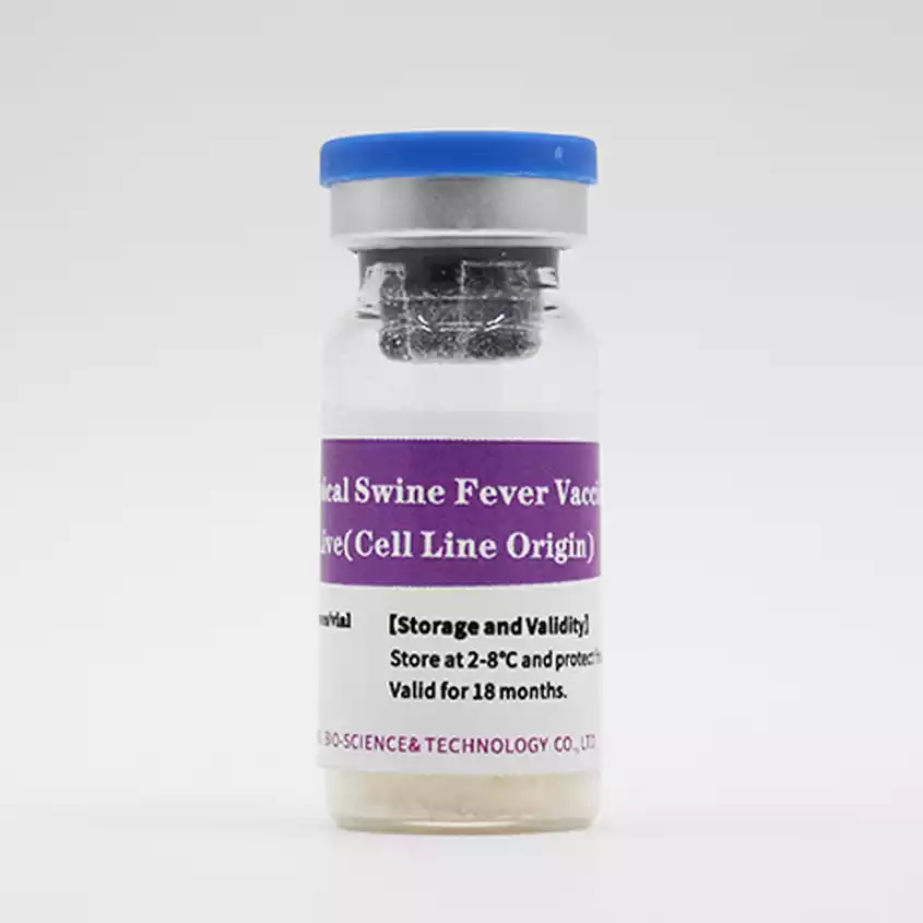 Classical Swine Fever Vaccine