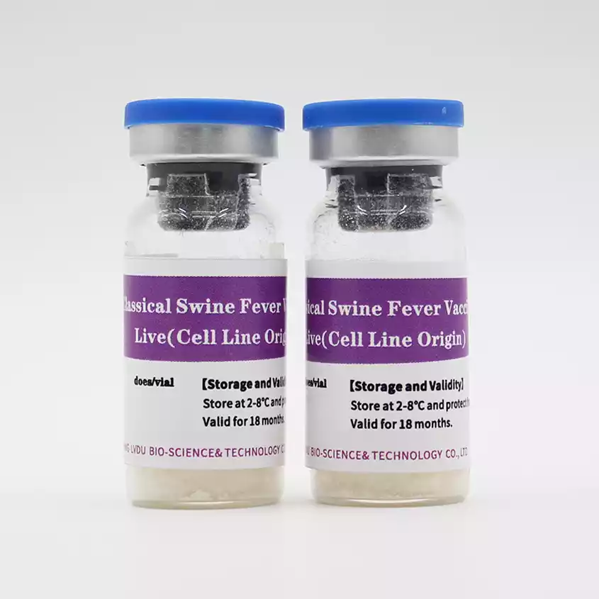Classical Swine Fever Vaccine
