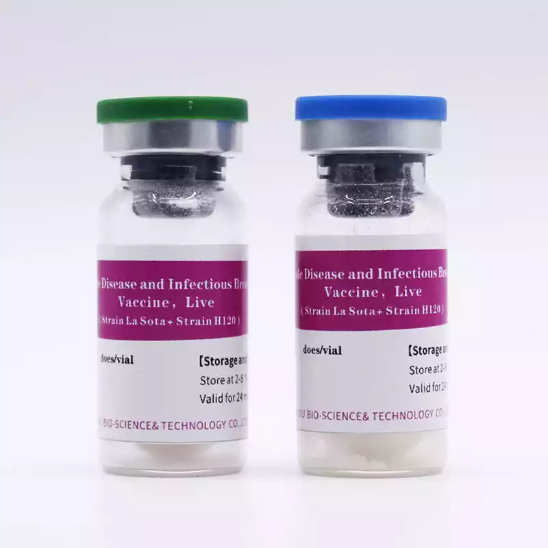 Newcastle Bronchitis Mass Live Vaccine