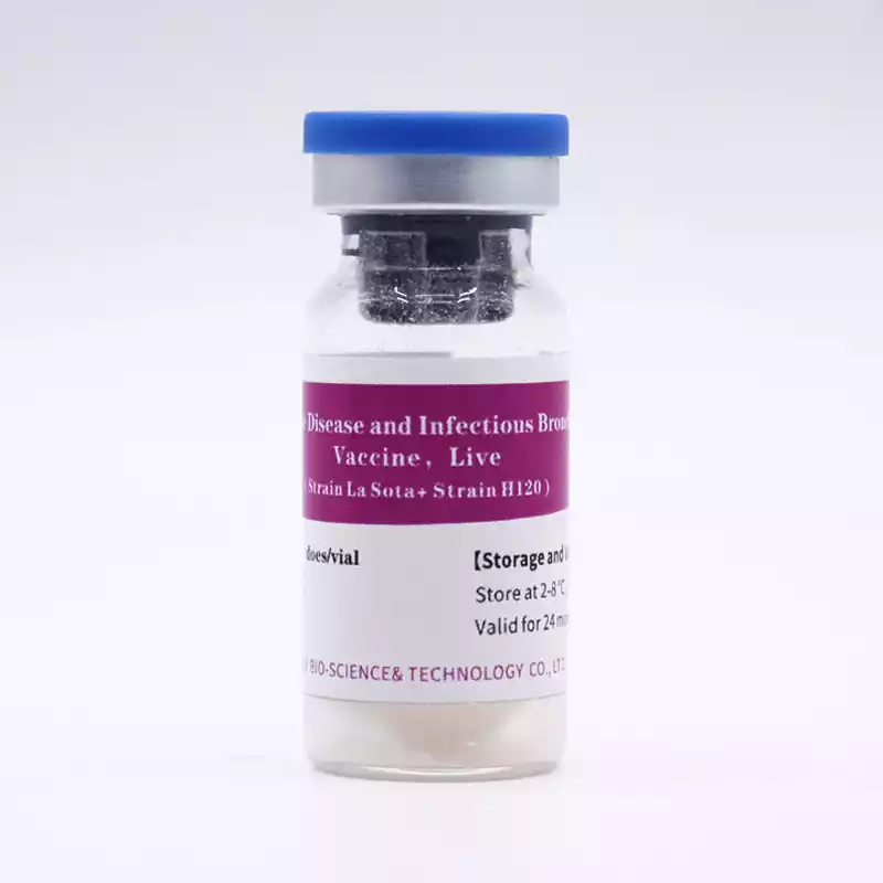 Newcastle Bronchitis Mass Live Vaccine