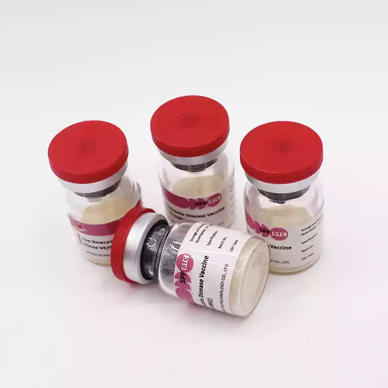 newcastle disease live vaccine