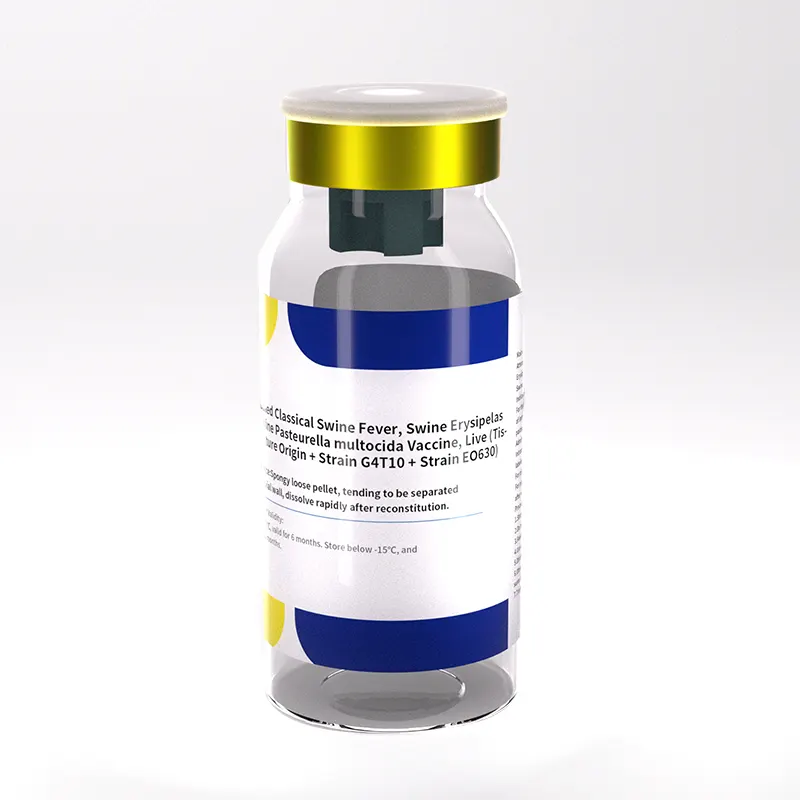 swine erysipelas and pasteurella live vaccine