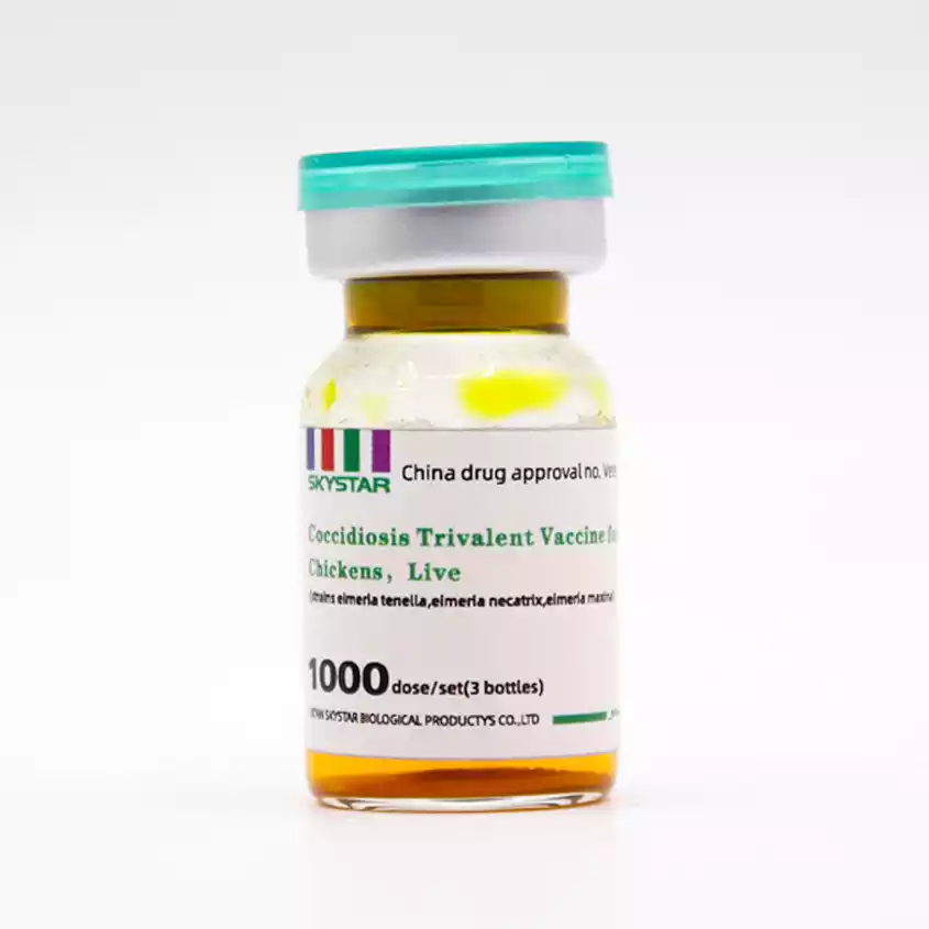 chicken coccidiosis vaccine