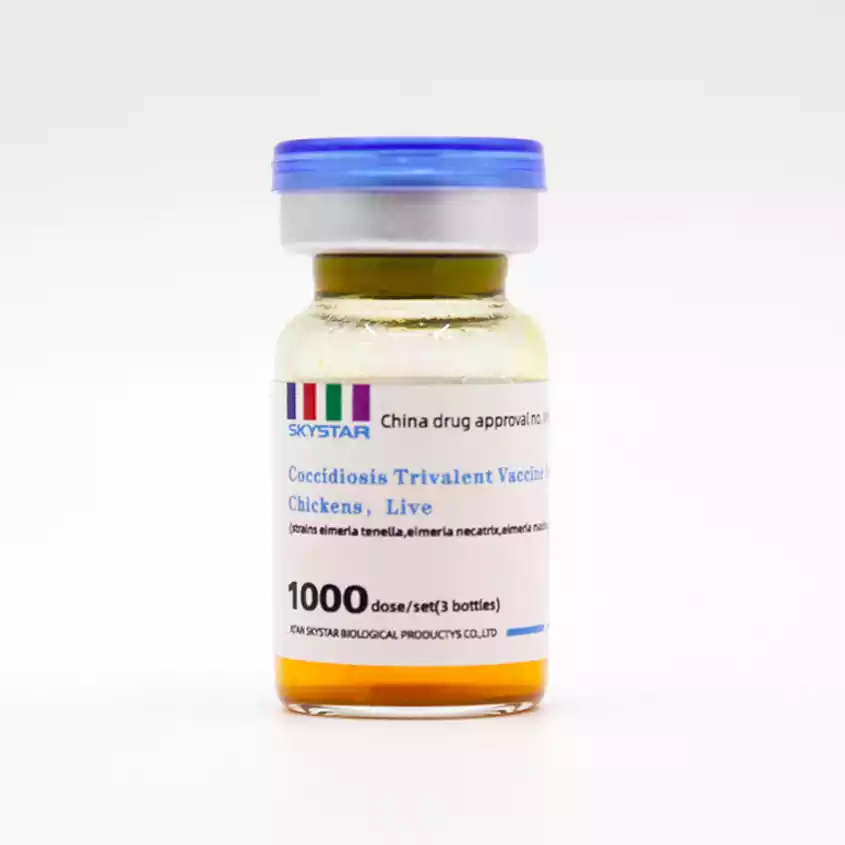 chicken coccidiosis vaccine