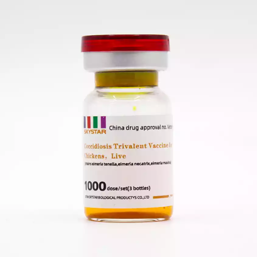 chicken coccidiosis vaccine
