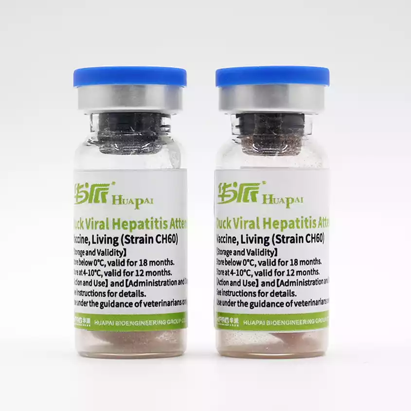 duck virus hepatitis vaccine