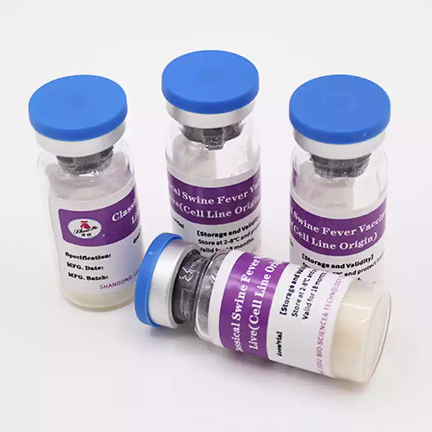 Classical Swine Fever Vaccine