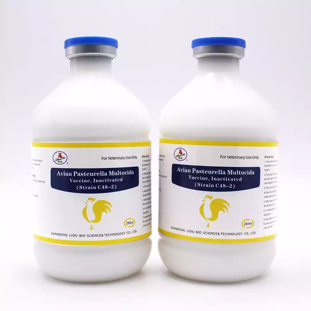 pasteurella multocida vaccine