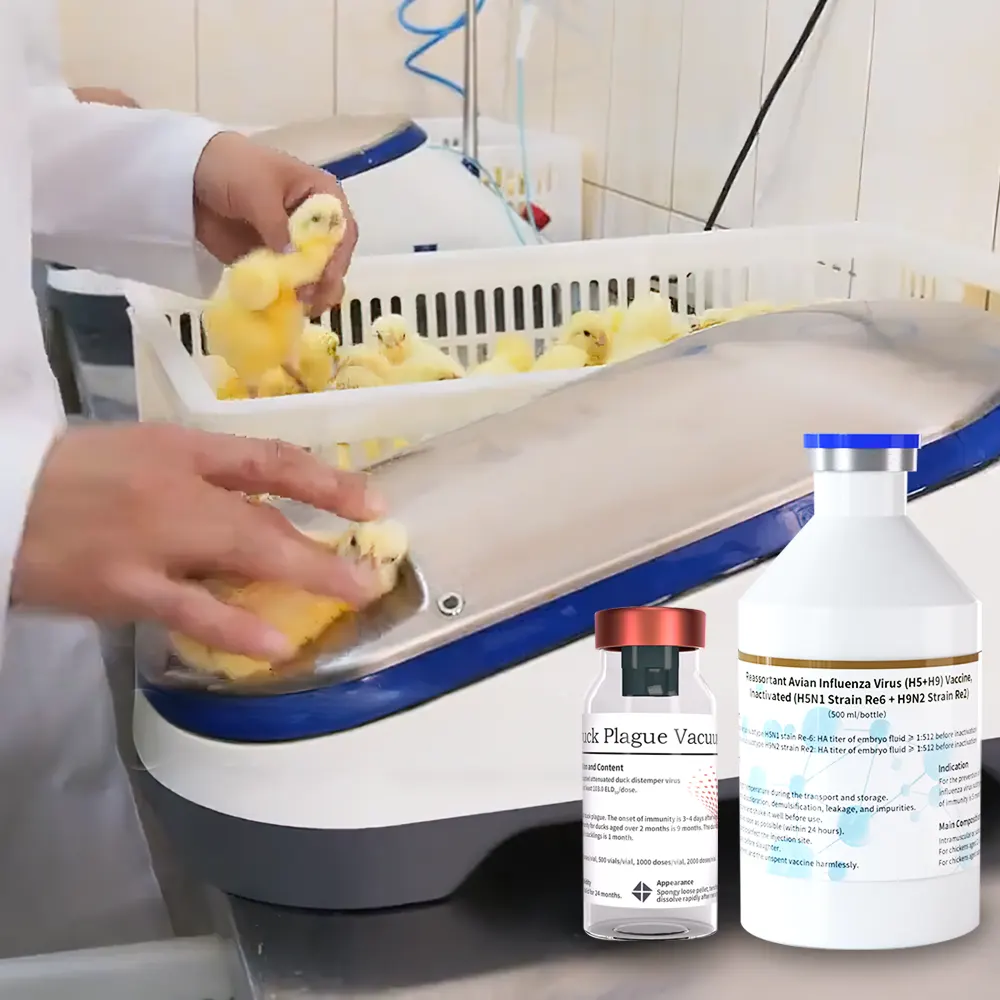 avian influenza vaccine for poultry