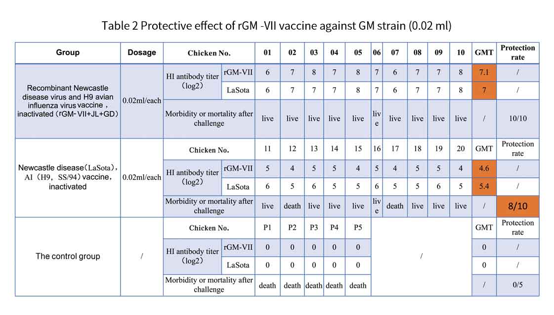 protective effect of rgm vll vaccine against gm strain (0.02 ml)