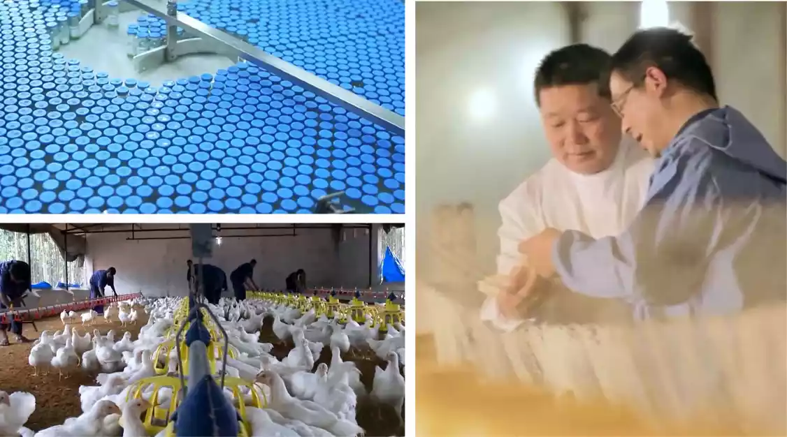 platform for innovative vaccine r&d and application