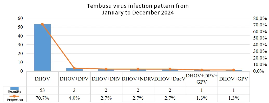 tembusu virus infection pattern fromjanuary to december 2024