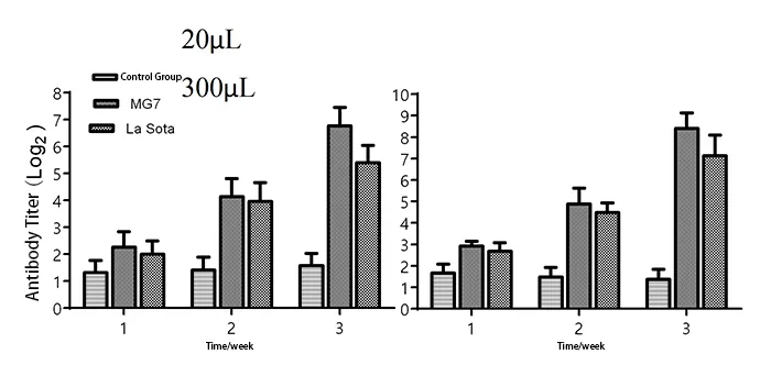 the antibodies produced by spf chickens after immunization with the newcastle disease type vii marker inactivated vaccine using the minimum and the conventional immunization doses were higher than