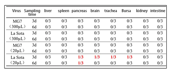 the detection rate of the nd virus in organs of the group vaccinated with the inactivated vaccine of the vii type marker of the nd gene was lower than that of the la sota group.