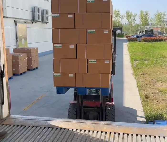 wixbio delivers ai vaccines & drugs to vietnam customers 3