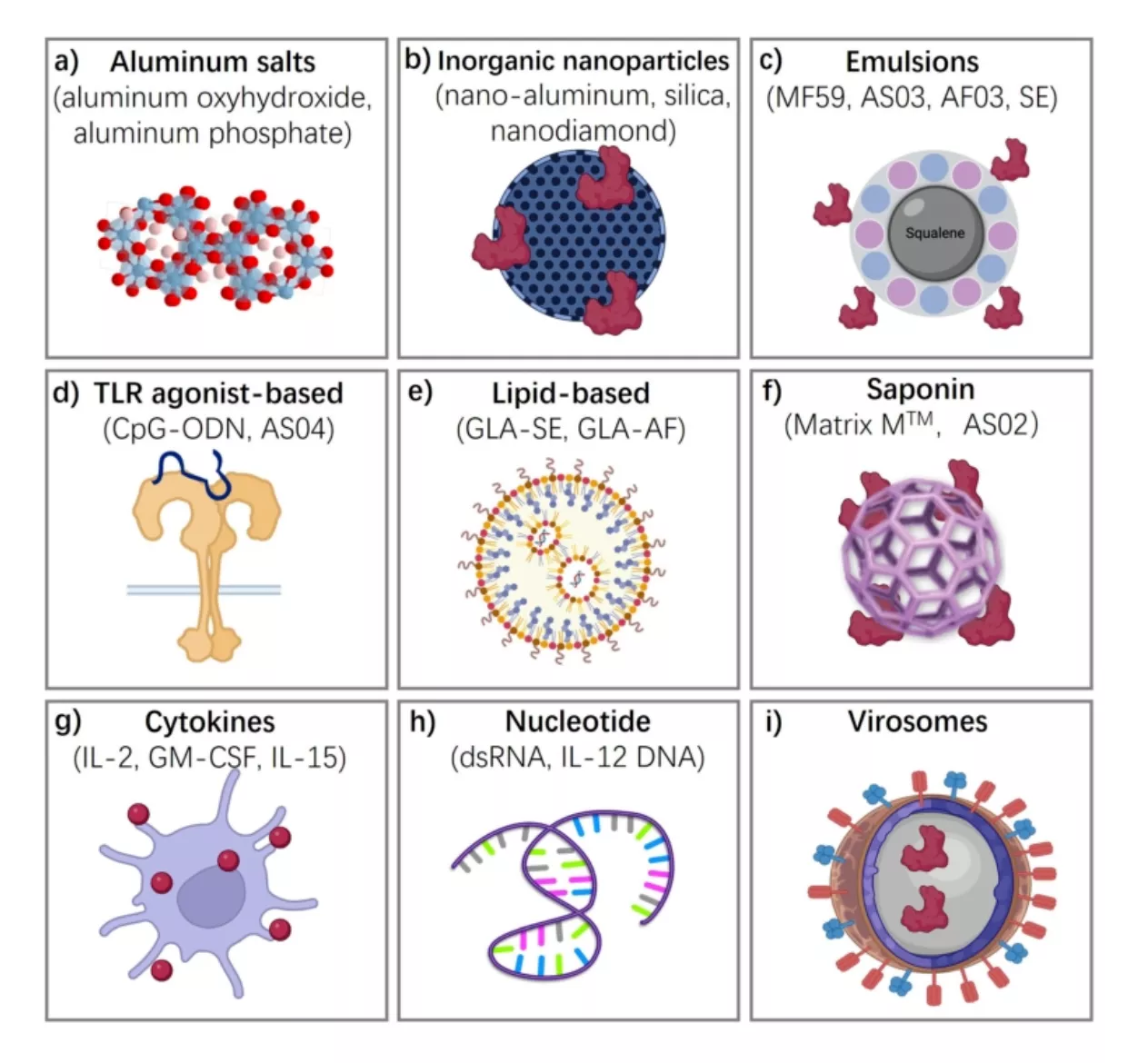 adjuvant applications in vaccine types