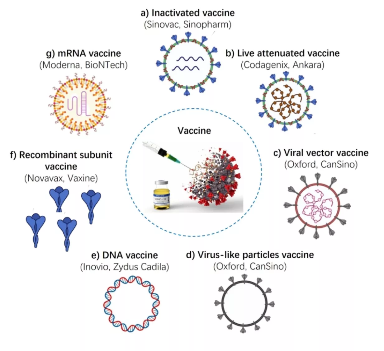 adjuvant applications in vaccine types2
