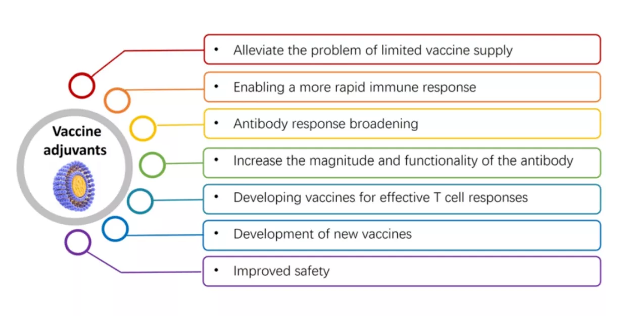 benefits and effects of adjuvants