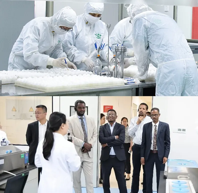 global livestock technical assistance