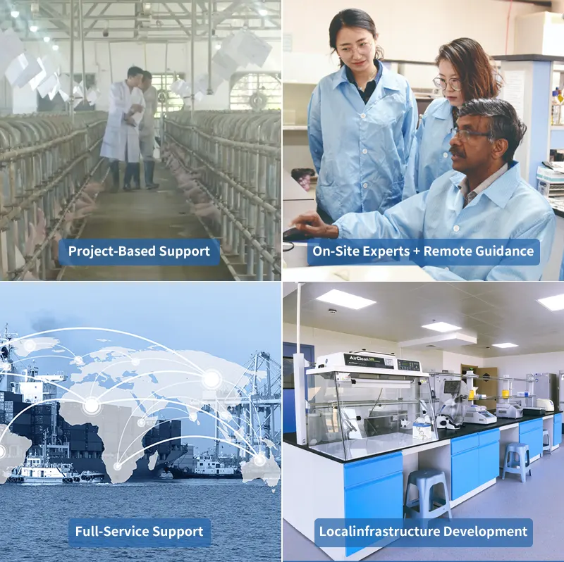 innovative technical assistance model