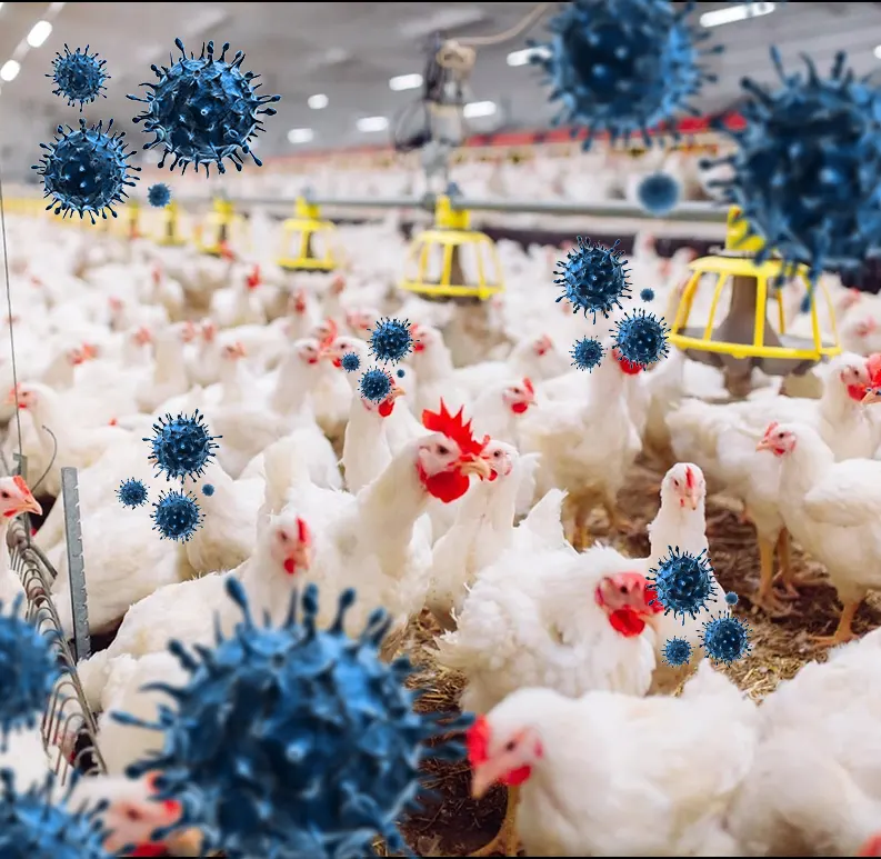 key challenges faced by clients