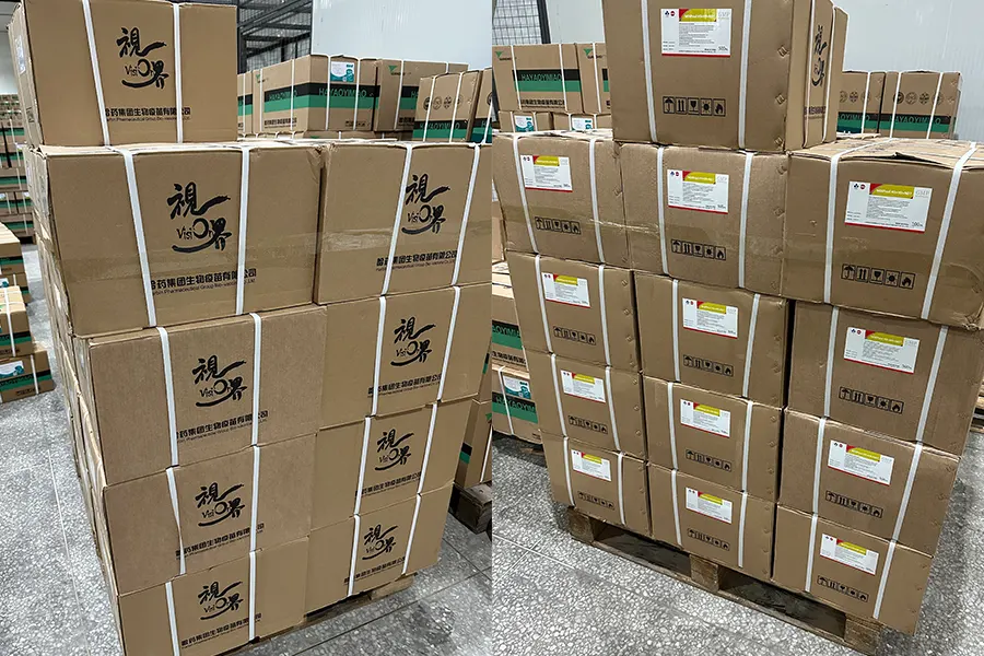 vietnamese customer re orders customized avian influenza multiplex vaccine2