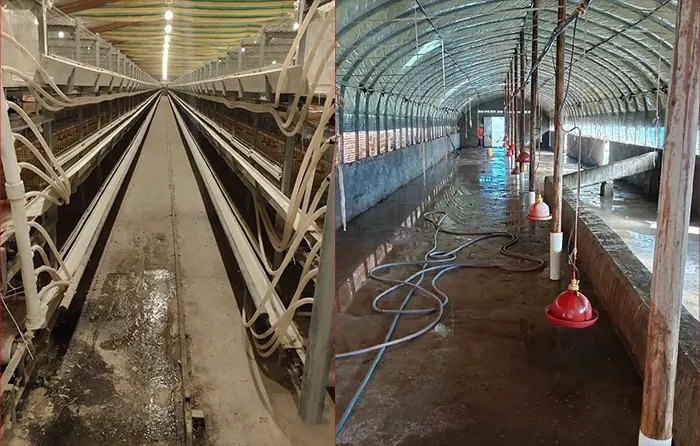 consistent biosecurity measures