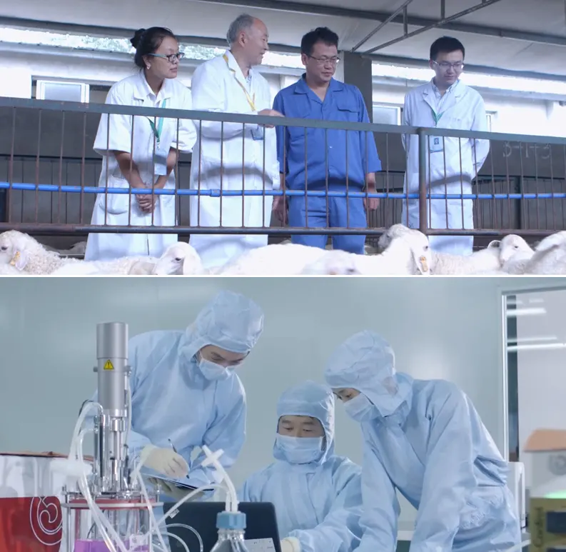 diagnosis and management of complex diseases