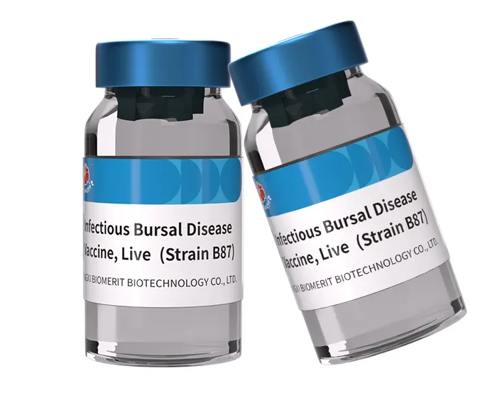 special recommendations for variant ibdv strains