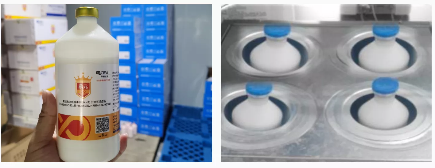 vaccine storage and pre warming