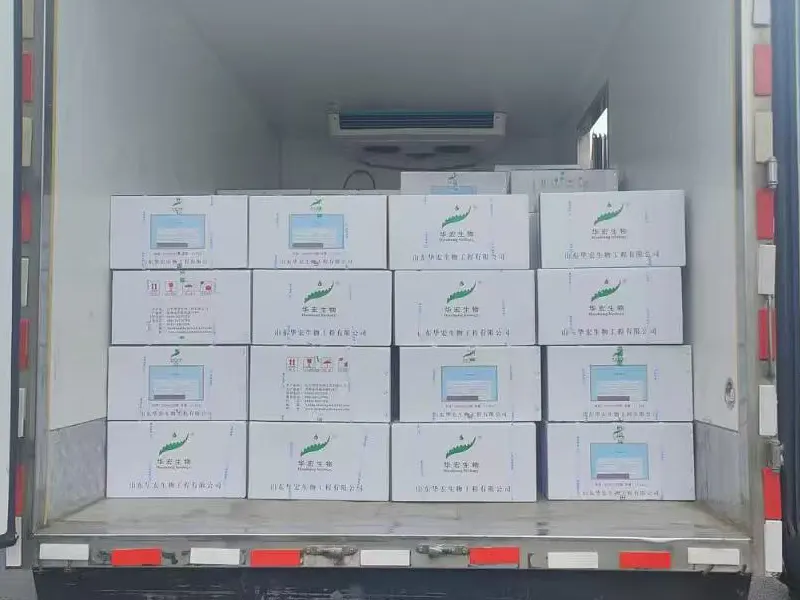 wixbio delivers inactivated vaccine for e. coli, pasteurella, and salmonella to nigeria ahead of schedule