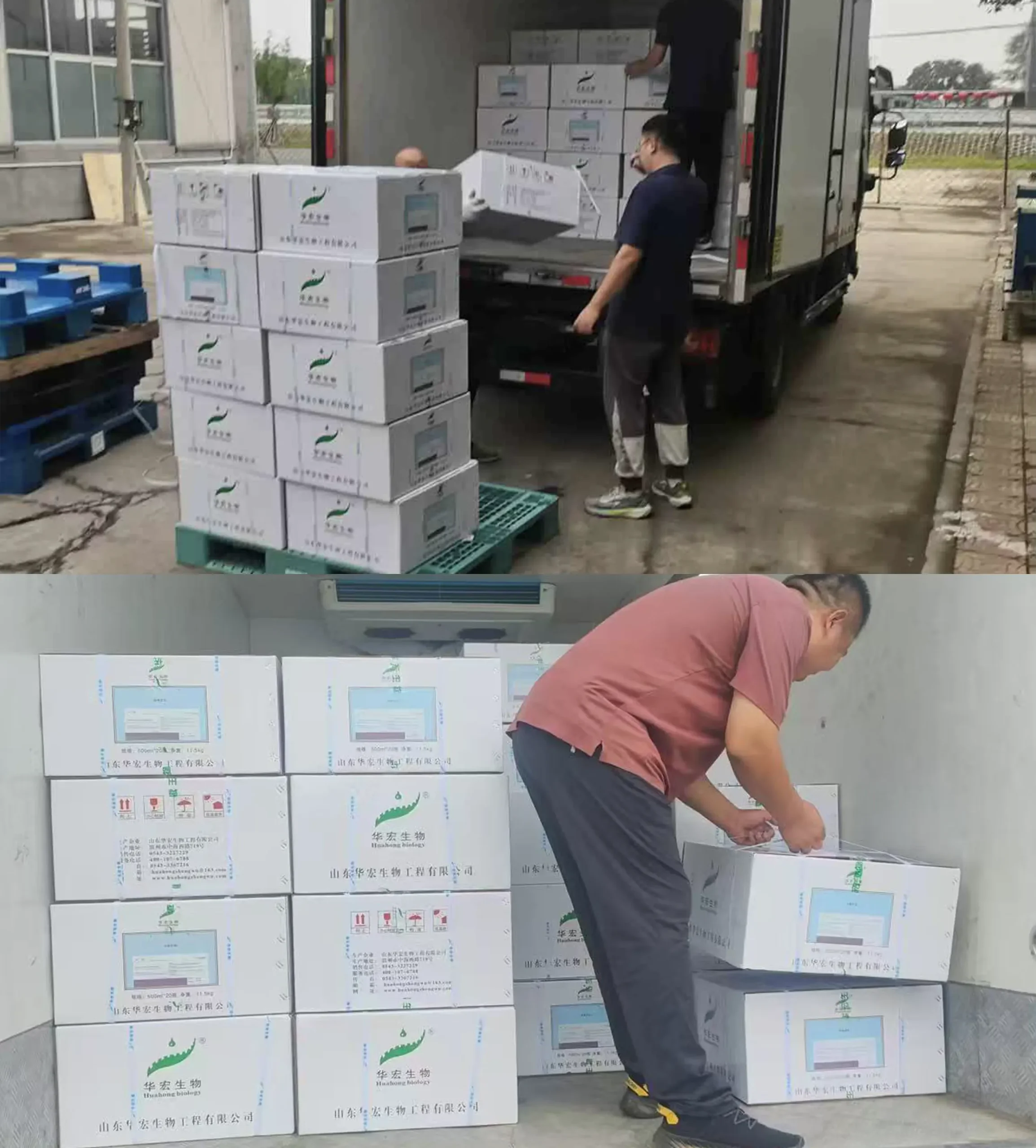 wixbio delivers inactivated vaccine for e. coli, pasteurella, and salmonella to nigeria ahead of schedule2