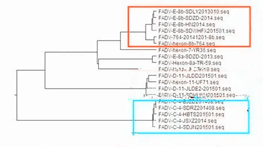 serological classification of fowl adenoviruses