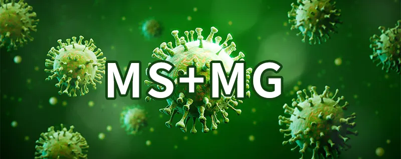 ms+mg