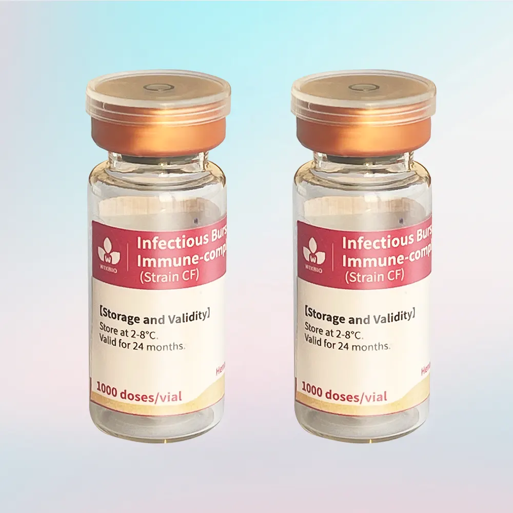 gumboro immune complex vaccine