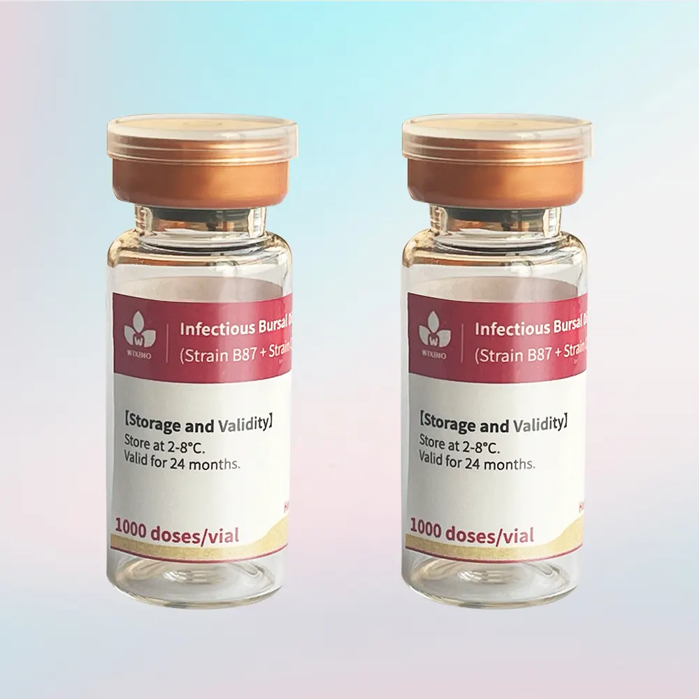 gumboro vaccine