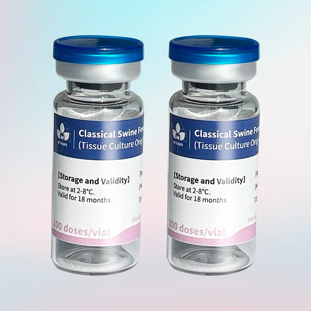 live classical swine fever vaccine (csf vaccine)
