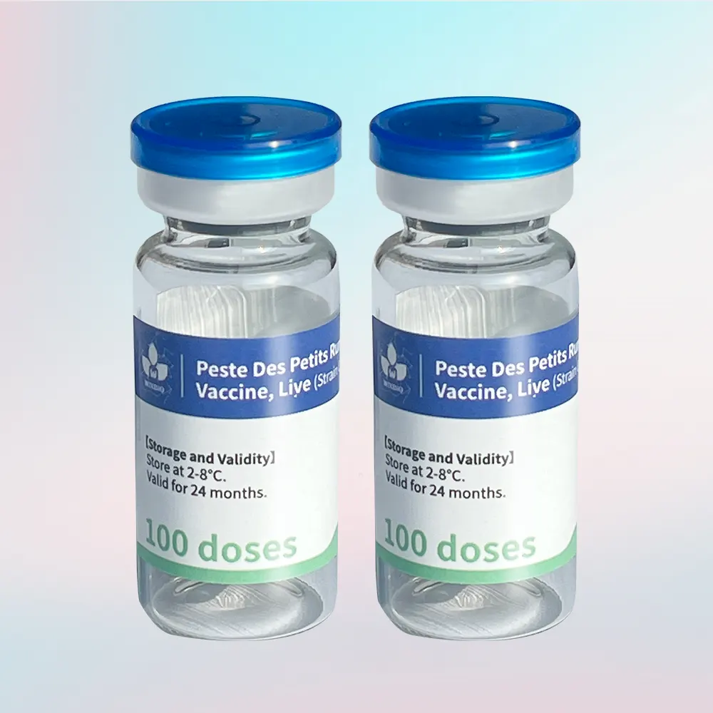 live peste des petits ruminants vaccine for sheep