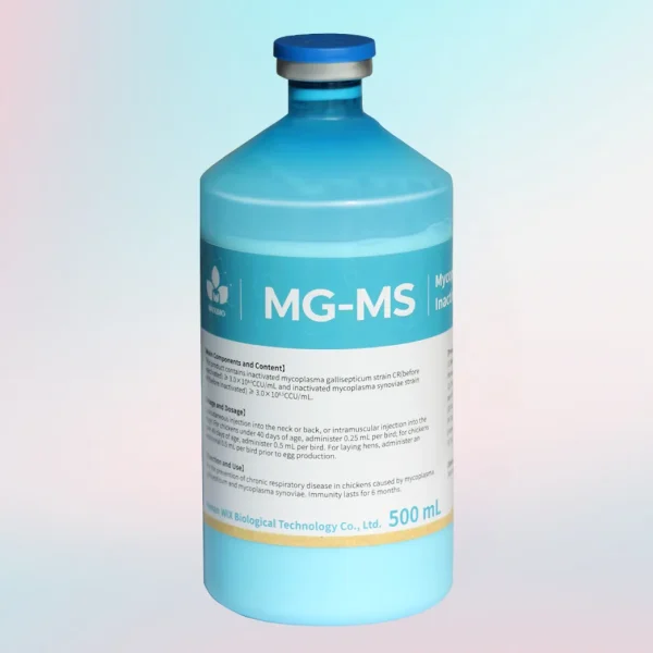 mycoplasma gallisepticum vaccine for chickens