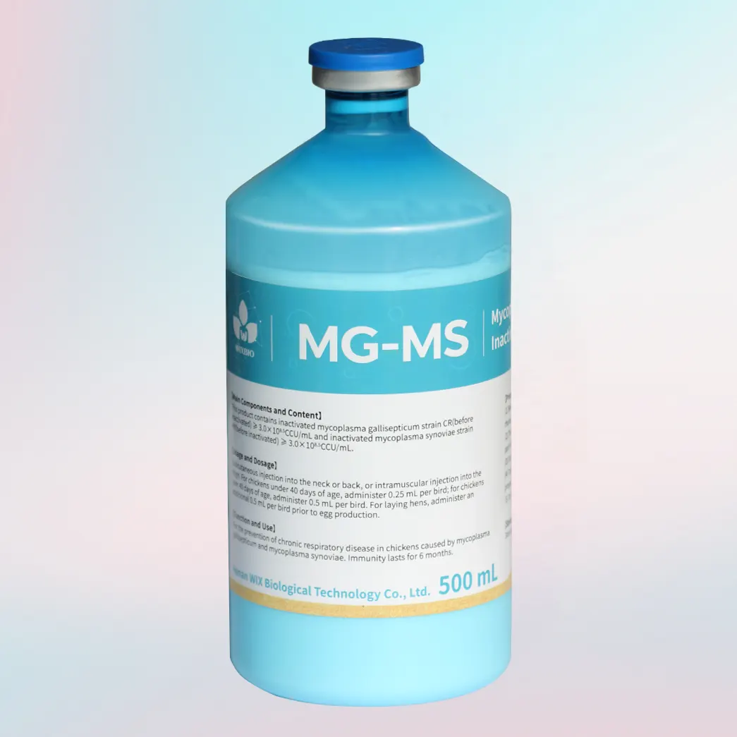 mycoplasma gallisepticum vaccine for chickens