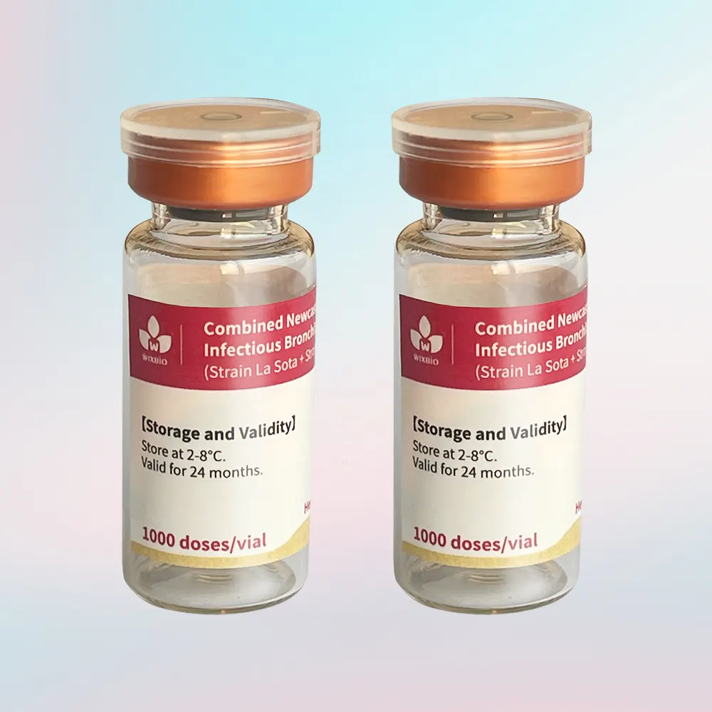 ndv + ibv live combo vaccine