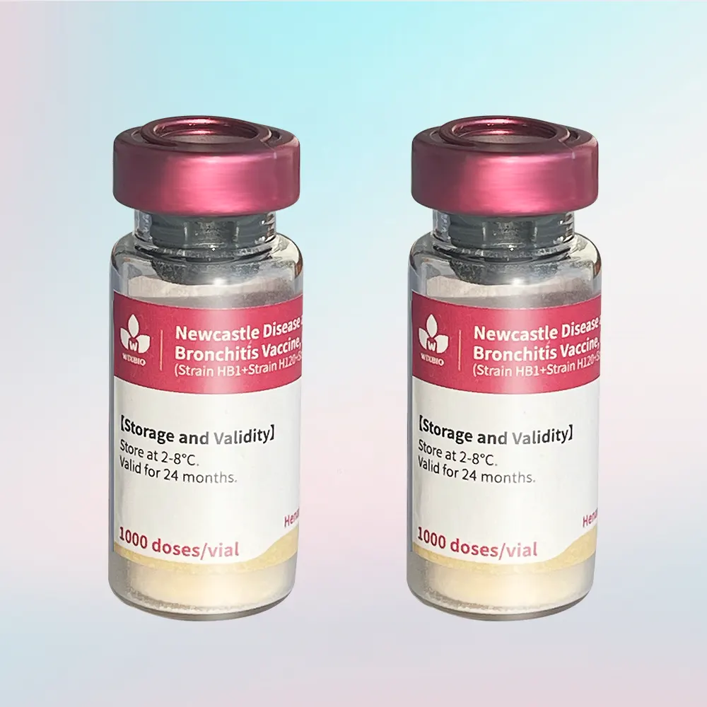 newcastle disease vaccine