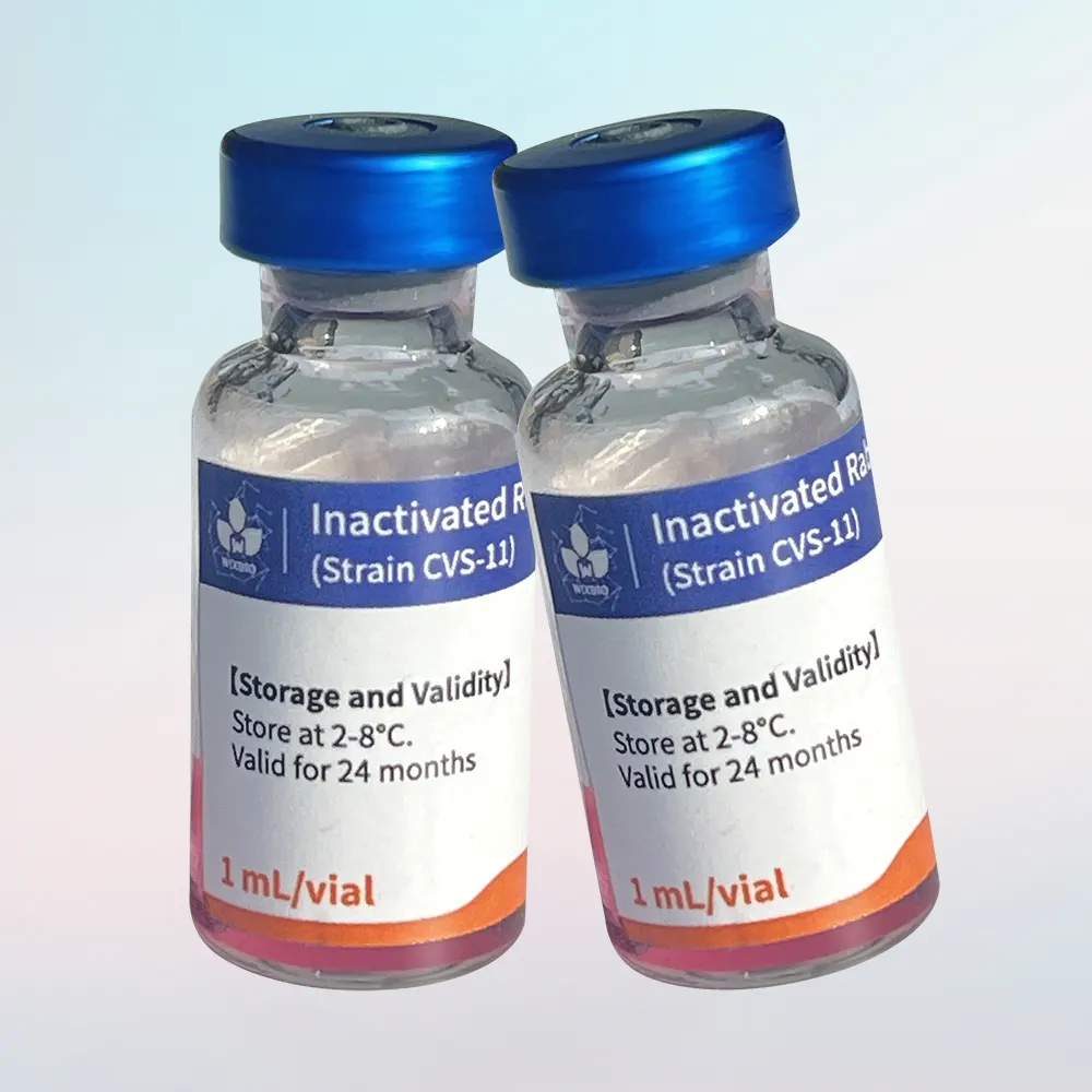 rabies vaccines